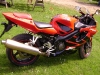 cbr 600